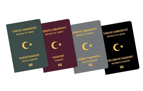 2 pasaport başvurusu